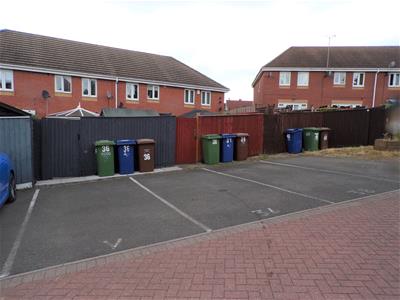 Picture 23